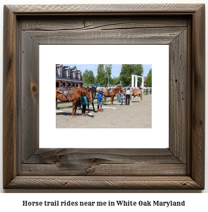 horse trail rides near me in White Oak, Maryland